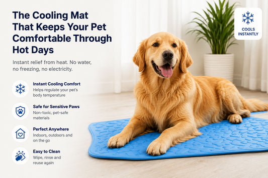 Ice Cool Pet Cooling Mat